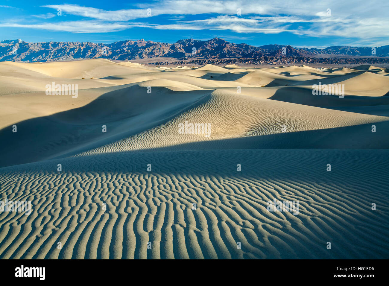 Mesquite flache Sanddünen und Grapevine Mountains, Death Valley Nationalpark, Kalifornien USA Stockfoto