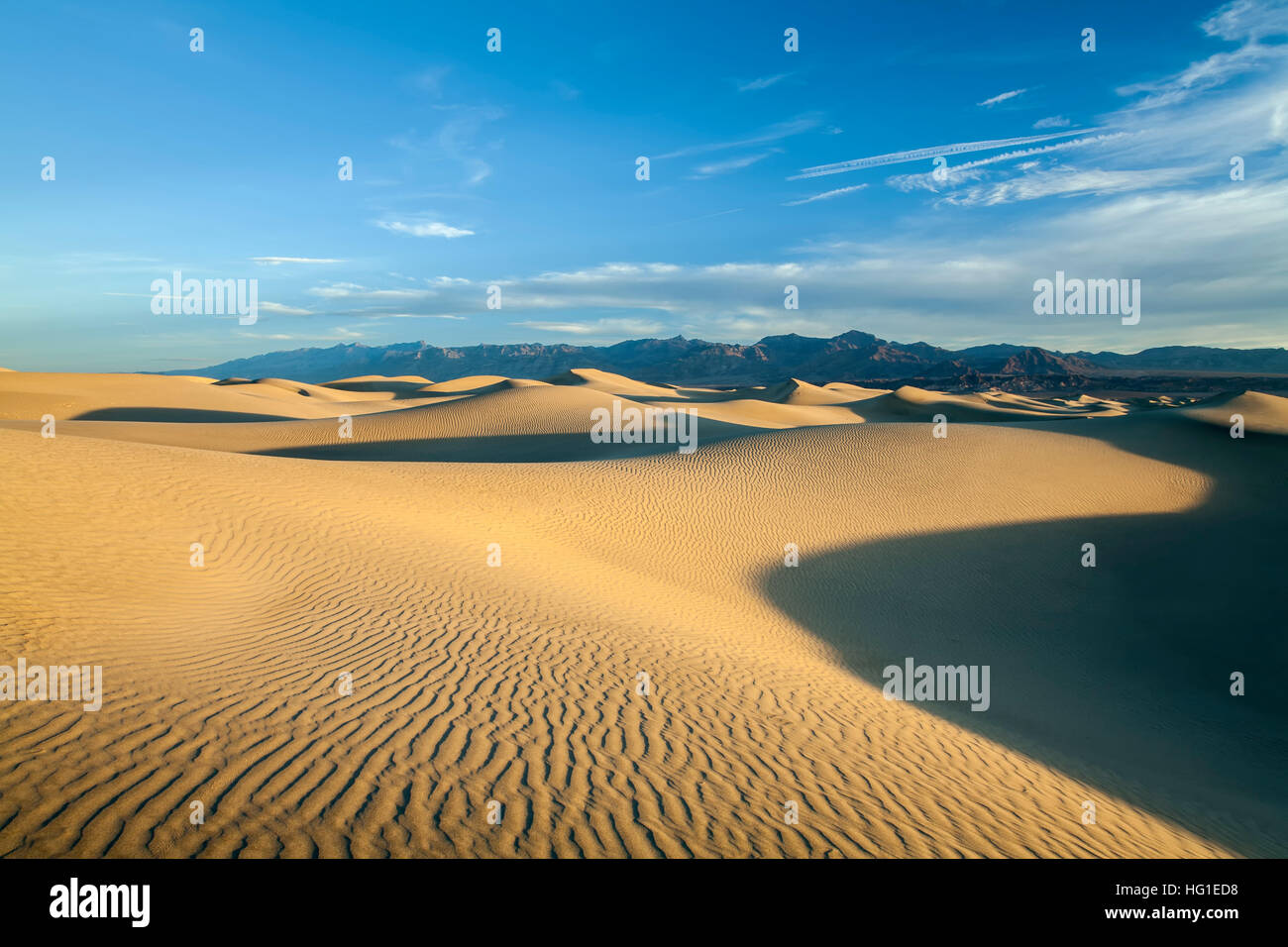 Mesquite flachen Sand Dünen, Death Valley National Park, Kalifornien, USA Stockfoto