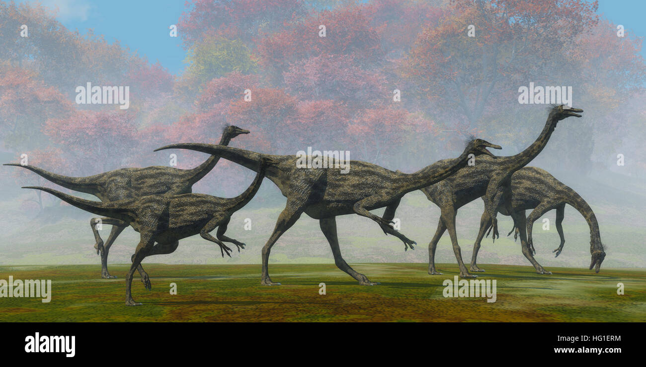 Eine Herde von Gallimimus Dinosaurier Reptilien Futter für Lebensmittel in der Kreidezeit Periode der Mongolei. Stockfoto