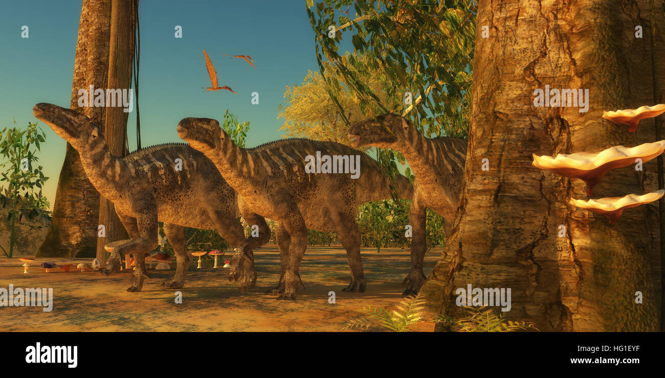 Iguanodon Dinosaurier machen ihren Weg zwischen den Bäumen eines kreidezeitlichen Waldes als Zhejiangopterus Reptilien überfliegen. Stockfoto