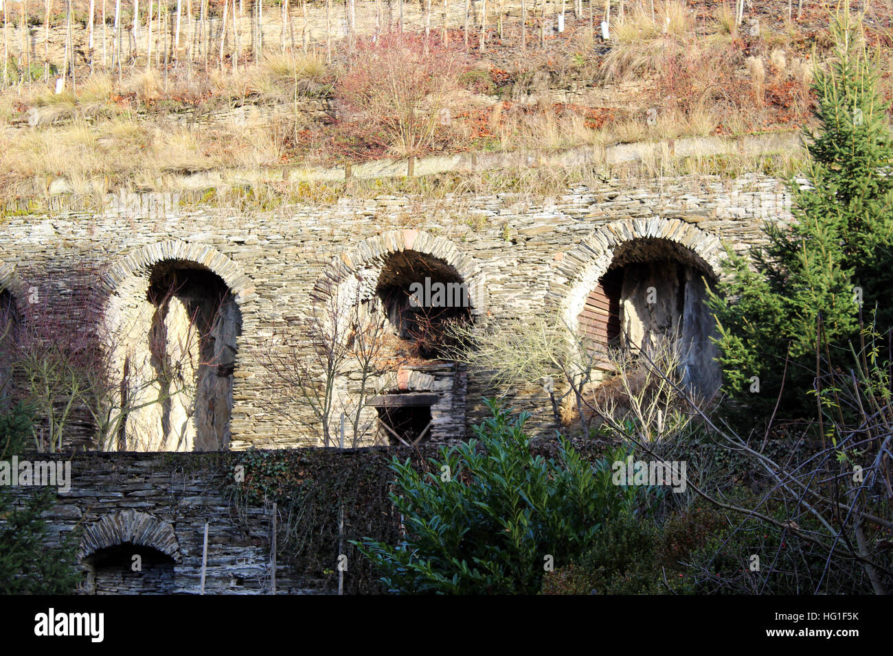 Weinberge in Beilstein, Deutschland Stockfoto