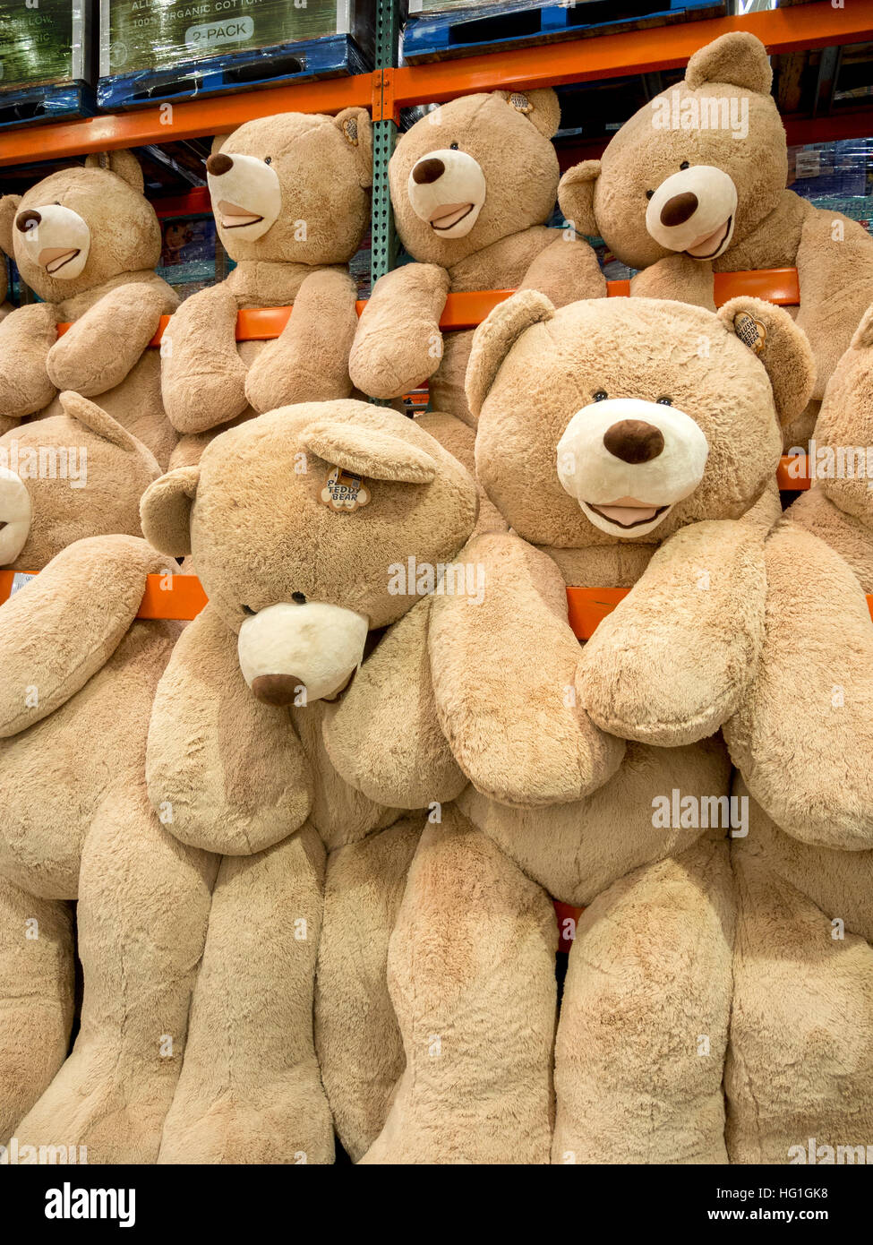 Riesigen Teddybären sind zum Verkauf an ein Display in einem Laguna Niguel, CA, Costco big Box speichern. Stockfoto