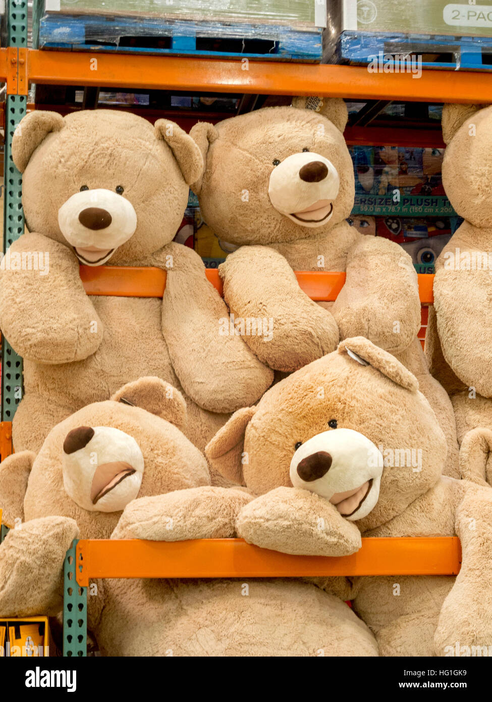 Riesigen Teddybären sind zum Verkauf an ein Display in einem Laguna Niguel, CA, Costco big Box speichern. Stockfoto