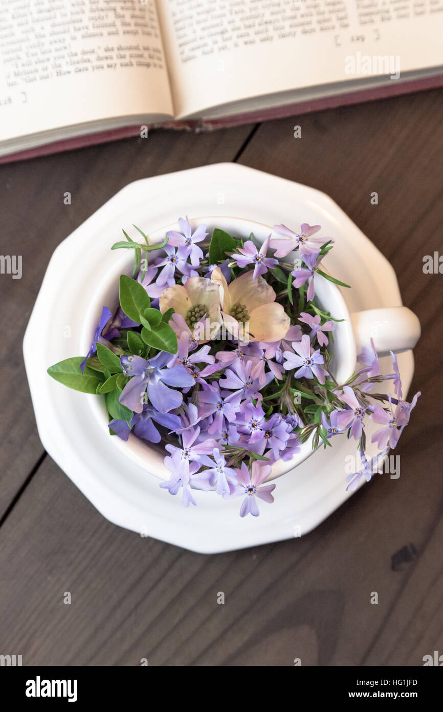 Eine weiße Teetasse voll von winzigen lila Blüten, setzt neben ein offenes Buch. Stockfoto