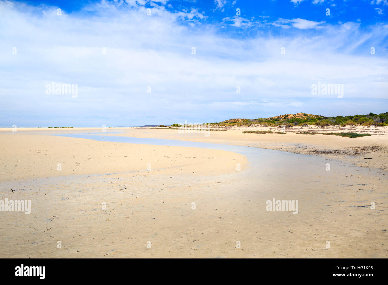 Strand und Küste in Monkey Mia. Shark Bay, Westaustralien Stockfoto