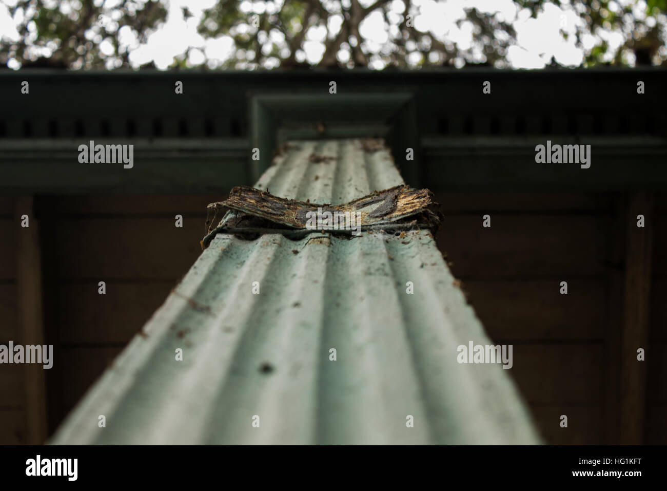 Einem niedrigen Winkel Schuss eines alten Hauses Spalte Stockfoto