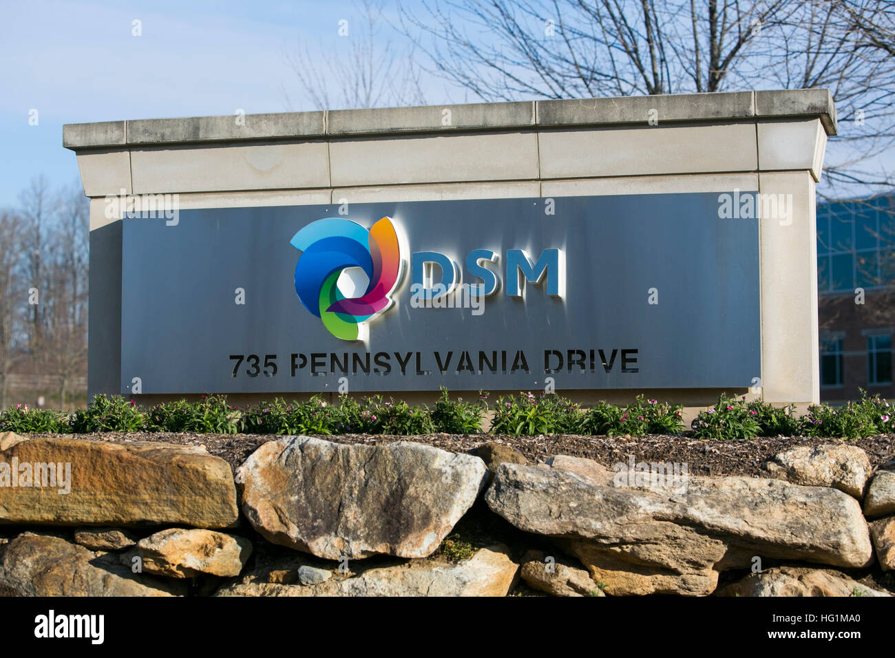Ein Logo Zeichen außerhalb einer Einrichtung von biomedizinischen DSM in Exton, Pennsylvania am 10. Dezember 2016 besetzt. Stockfoto