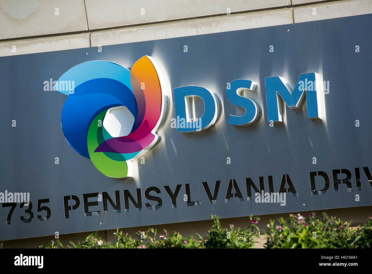 Ein Logo Zeichen außerhalb einer Einrichtung von biomedizinischen DSM in Exton, Pennsylvania am 10. Dezember 2016 besetzt. Stockfoto