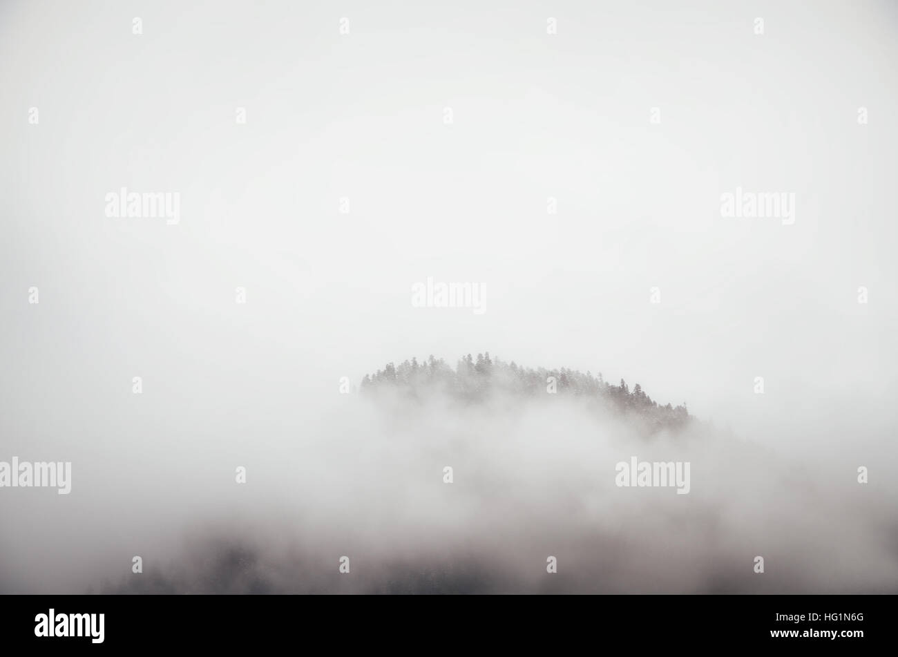 Die Wipfel der Bäume auf Hügel Nebel herausragen. Racha-Lechxumi Region, Georgia. Minimalismus in Natur-Konzept Stockfoto