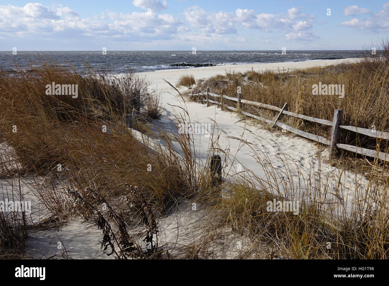 USA New Jersey NJ Cape May Beach Access Point über geschützte Dünengras am Atlantischen Ozean Stockfoto