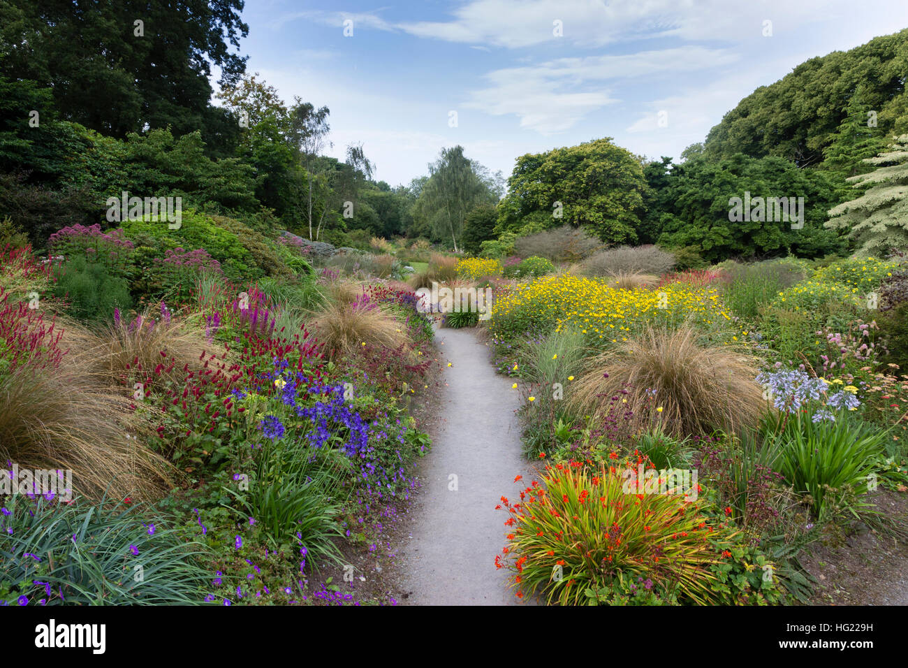 Blick über das bunte mehrjährige Drift Pflanzen von Sommergarten am Gartenhaus, Devon, UK Stockfoto