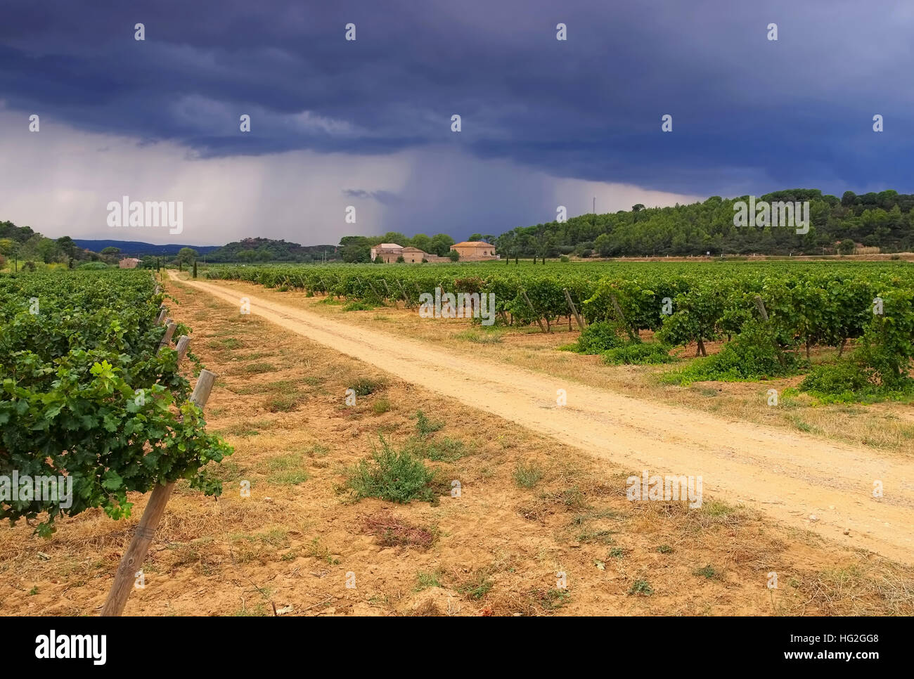 Weingut in Höhle Landschaft Corbieres, Landschaft Im Süden Frankreichs - Weingut in Corbières, im Süden Frankreichs Stockfoto