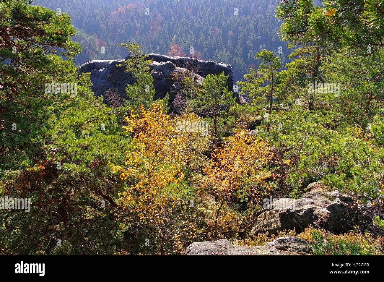 Elbsandsteingebirge - Felsen im Elbsandsteingebirge, Sachsen Stockfoto