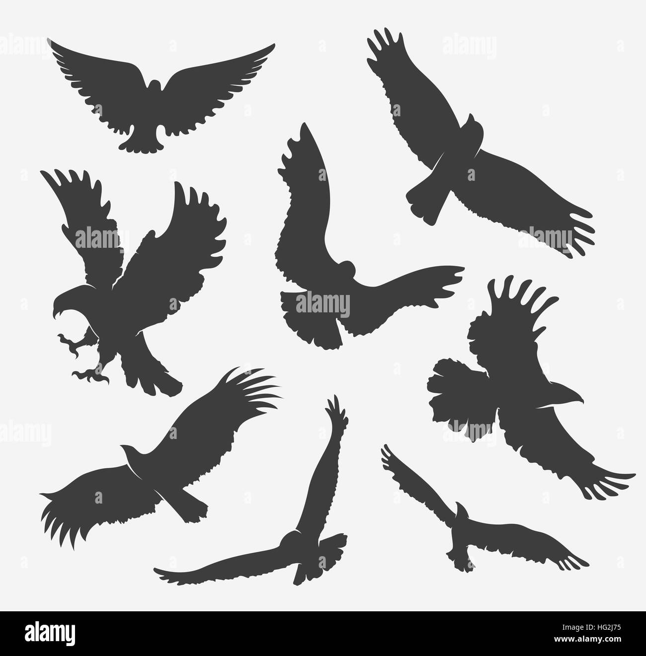 Silhouette Von Fliegenden Adler Auf Weissem Hintergrund Stock Vektorgrafik Alamy