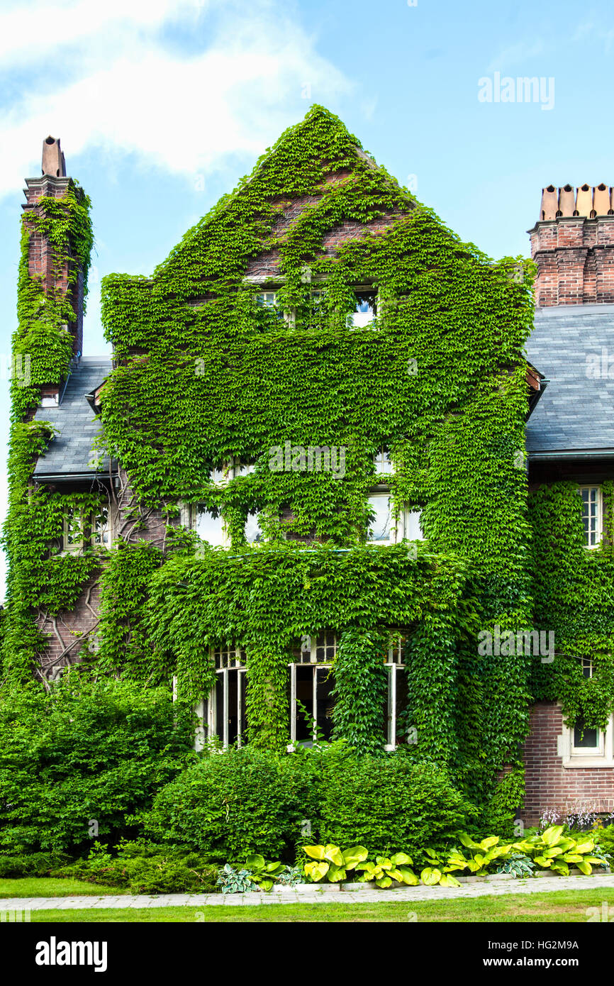 Universität von Toronto Falconer Hall bedeckt in grünem Laub Stockfoto