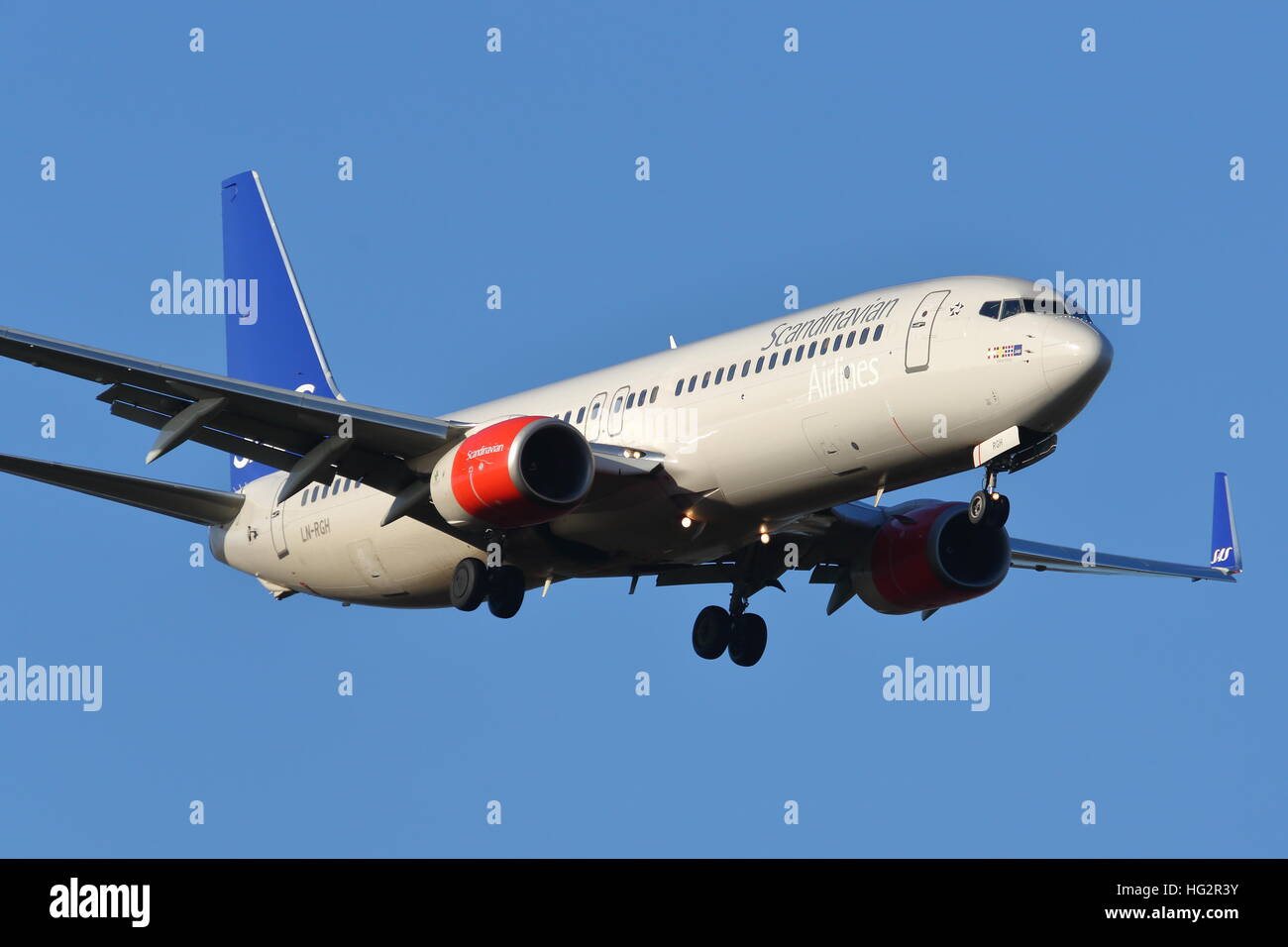 Scandinavian Airlines Boeing 737-800 LN-RGH landet auf dem Flughafen London Heathrow, Vereinigtes Königreich Stockfoto