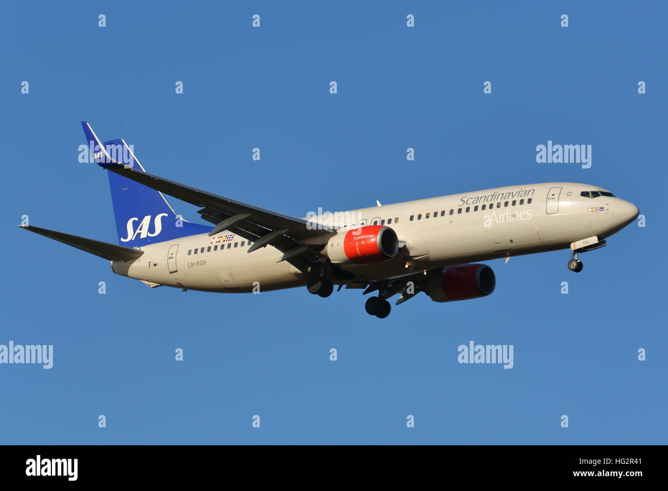 Scandinavian Airlines Boeing 737-800 LN-RGH landet auf dem Flughafen London Heathrow, Vereinigtes Königreich Stockfoto