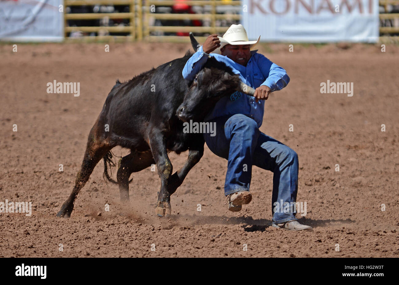 Rodeo-Wettbewerb während der Navajo Nation Fair, einem weltbekannten Veranstaltung, die Navajo Landwirtschaft, feine Kunst und Kunsthandwerk, mit der Förderung und Pr präsentiert Stockfoto