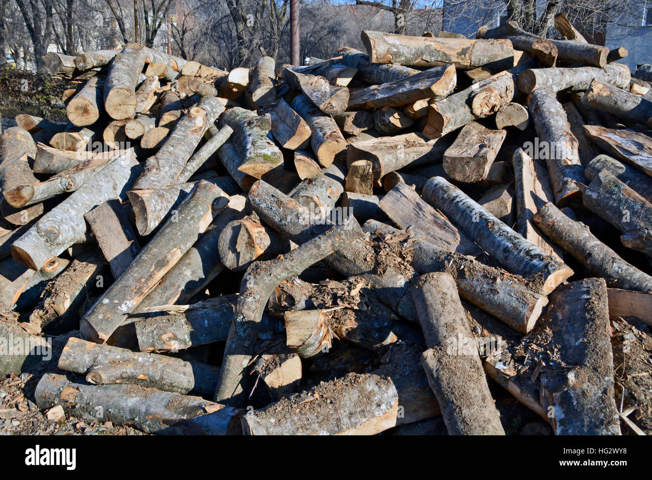 Holzschnitt auf dem Betriebshof des Protokolls und zum Verkauf bereit. Stockfoto