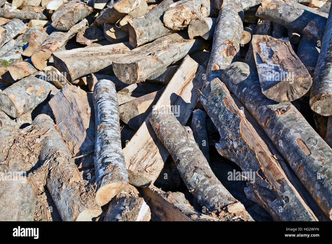 Holzschnitt auf dem Betriebshof des Protokolls und zum Verkauf bereit. Stockfoto