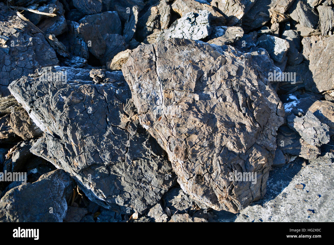 Braunkohle im Lager warten zu verkaufen. Stockfoto