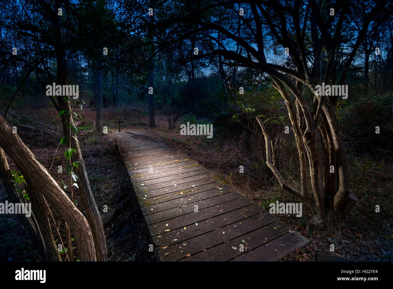 Fußgängerbrücke durch Wald in der Nacht Stockfoto