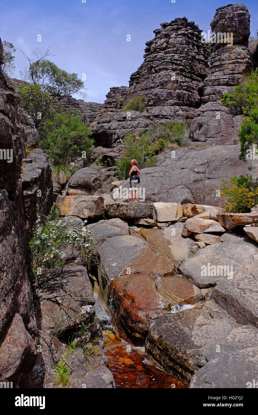 Auf einem Wanderweg im Grampians National Park, Victoria, Australien Stockfoto