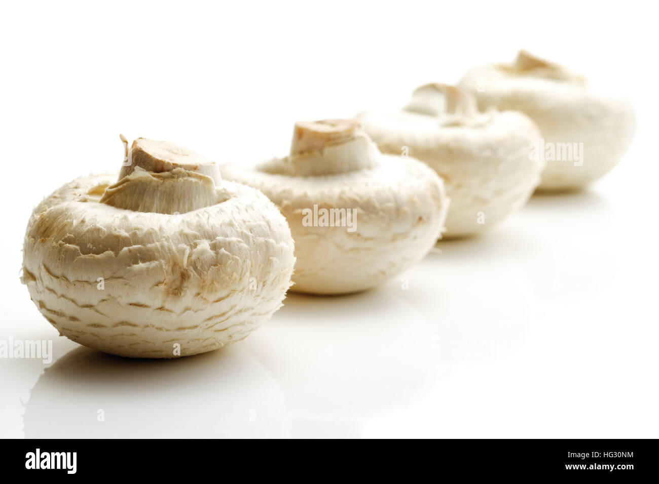 Taste, Pilze, Champignons (Agaricus) Stockfoto