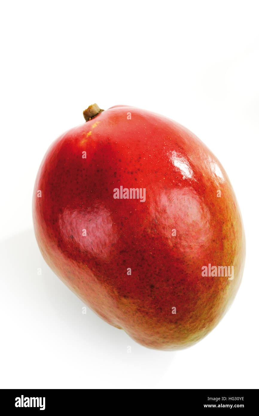 Mangifera indica Ausgeschnittene Stockfotos und bilder Alamy