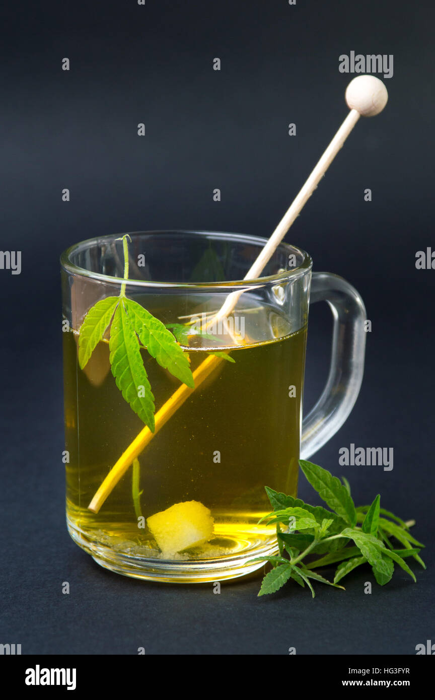 Marihuana-Kräuter-Tee und grünen Cannabis Blätter Stockfoto