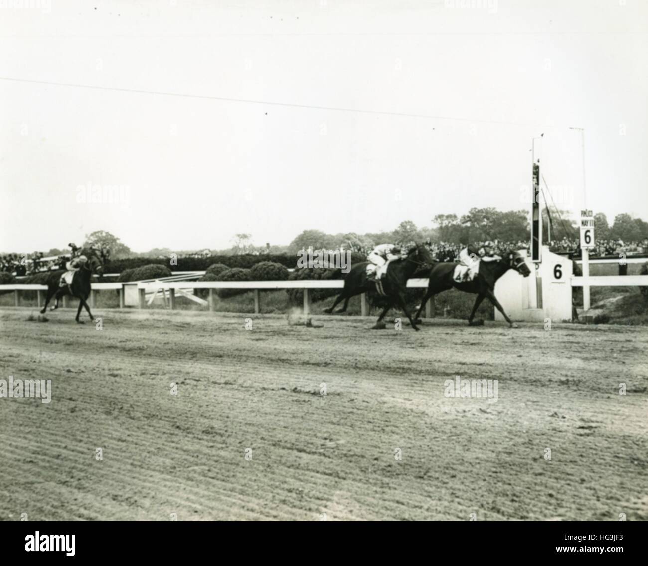 Beenden, das Preakness, 1946 vom Angriff gewonnen, Warren, mehrtens, king Ranch, Besitzer, Max Hirsch, Trainer. Foto von Bert Morgan Stockfoto