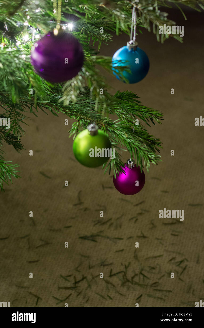 Tiefe Taille Tannennadeln unter Weihnachtsbaum Stockfoto