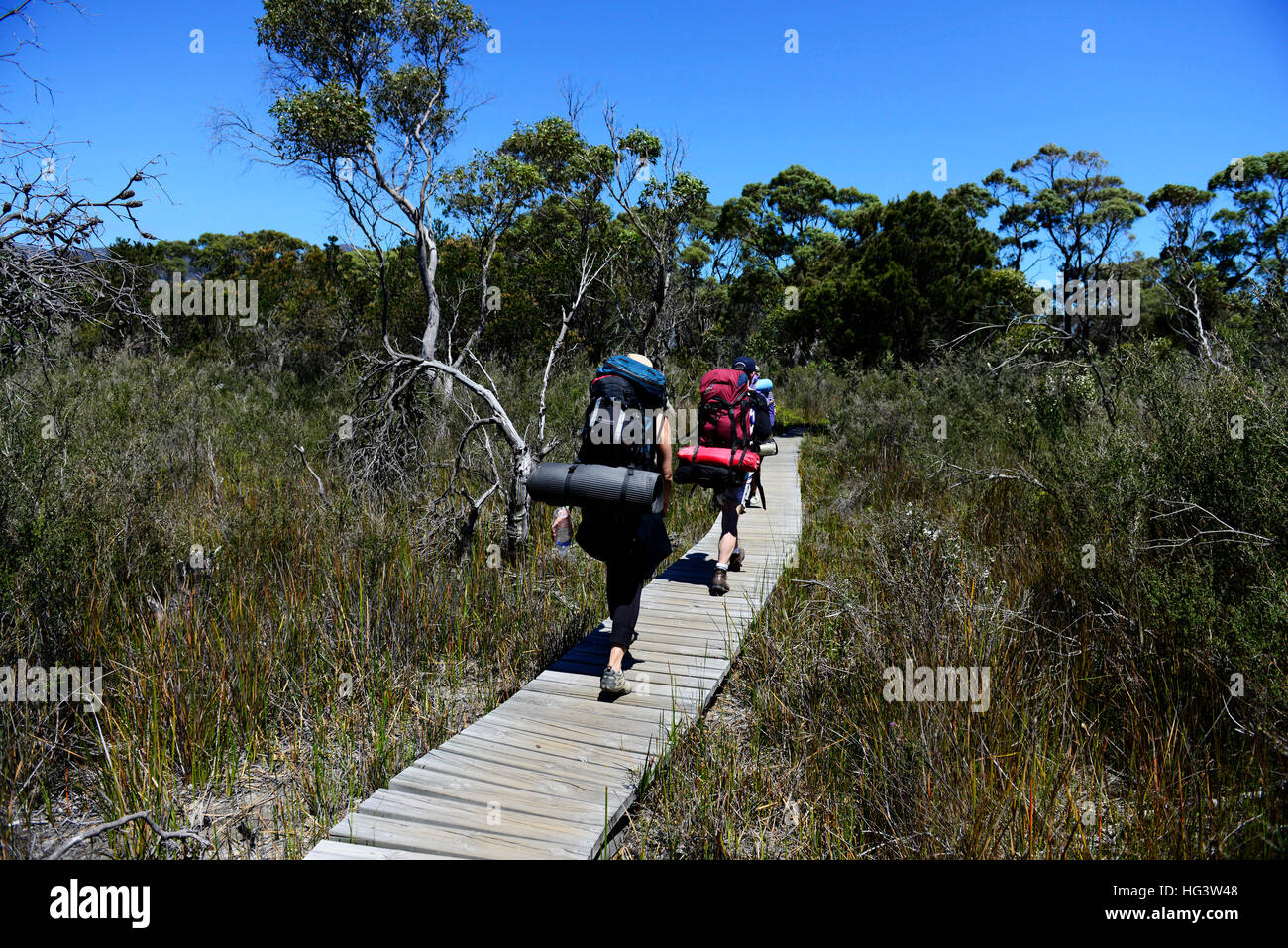 Wanderer durch Freycinet Nationalpark in Tasmanien wandern. Stockfoto