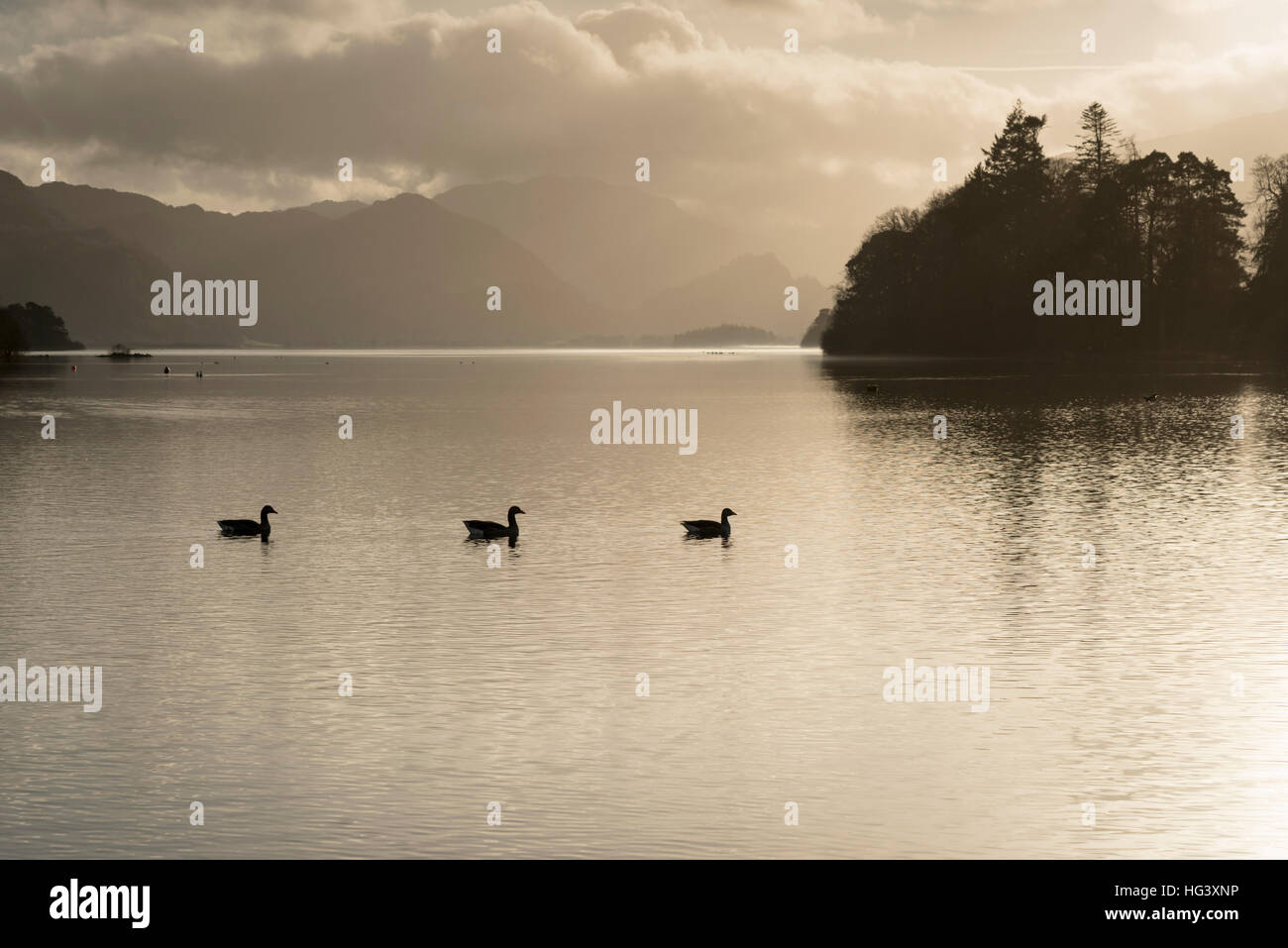 Eine Landschaftsansicht Derwentwater Keswick The Lake District Cumbria UK in natürlichen Sepia hell mit drei Gänse auf dem Wasser Stockfoto