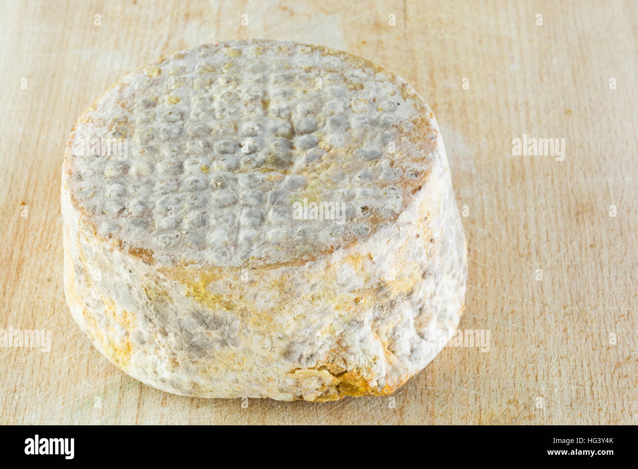 Form von Hartkäse ein duftig Rinde Ziegenmilch frost Kruste, Behandlung durch spezielle Form der Gattung Penicillium, wie Penicillium Camemb Stockfoto