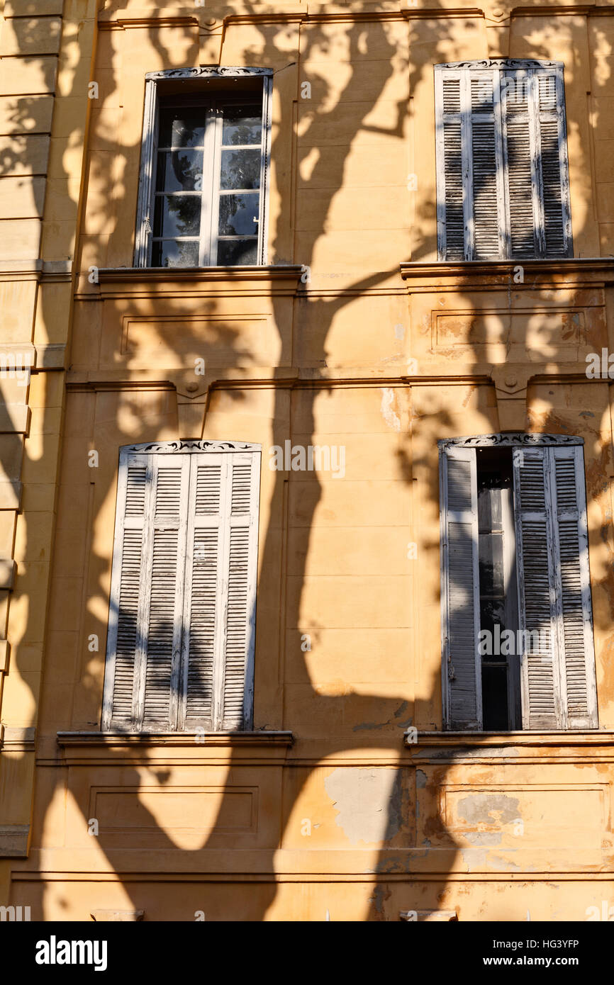 Eine Platane Silhouette gegen Fassade des traditionellen Hauses in der alten Stadt von Aix en Provence, Frankreich. Stockfoto