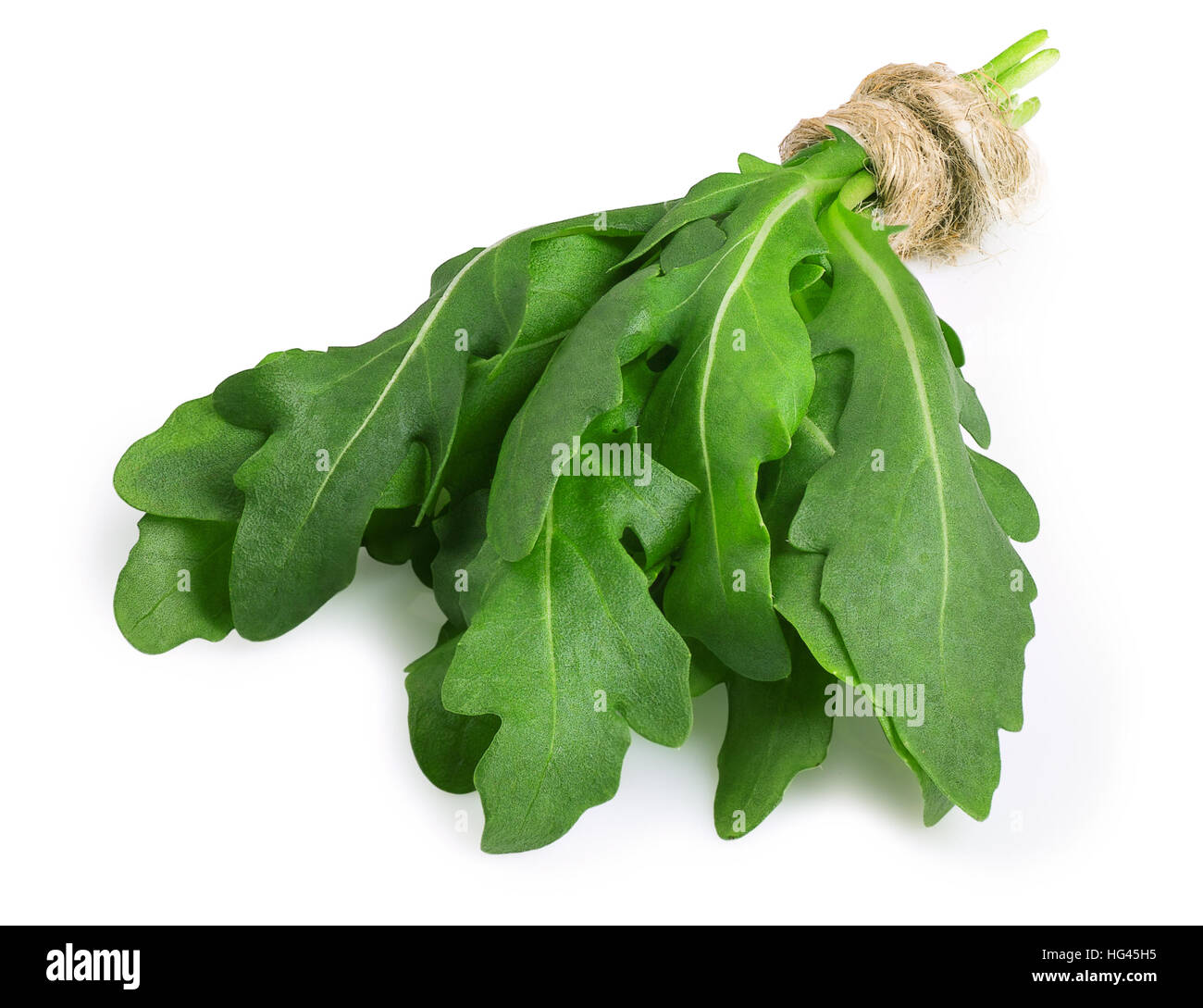 Handvoll Rucola oder Rucola Blätter gebunden mit Bindfaden isoliert auf weißem Hintergrund Stockfoto