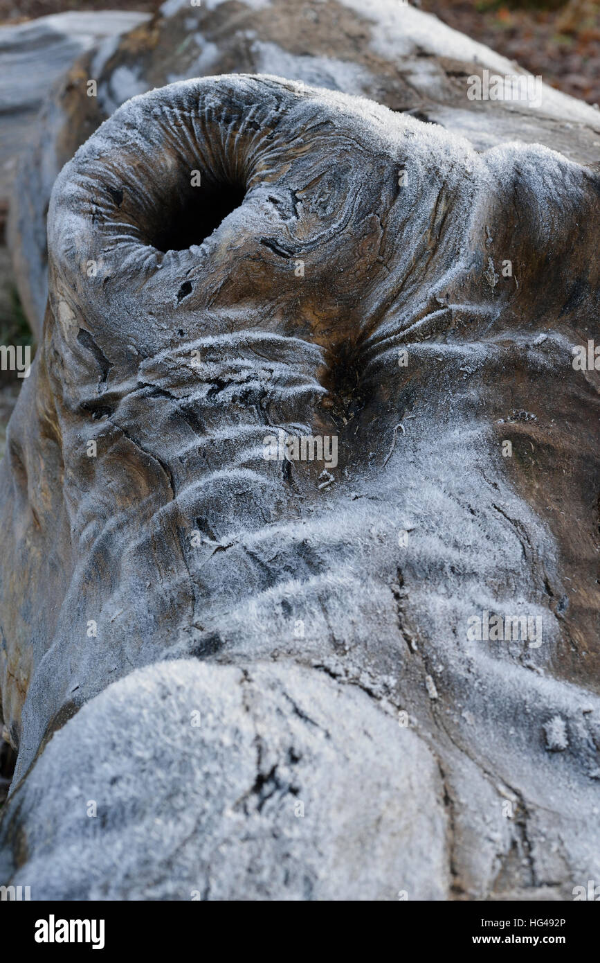 Frost auf ein Holzscheit Stockfoto