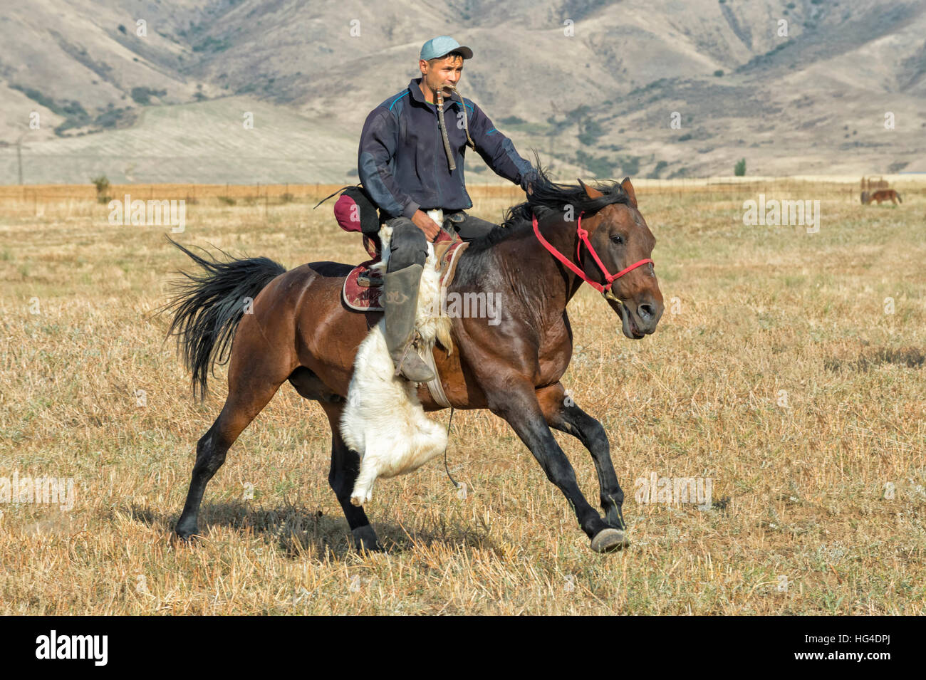 Traditionelle Kokpar (Buzkashi) am Rande des Gabagly Nationalpark, Schymkent, South Region, Kasachstan, Zentralasien Stockfoto