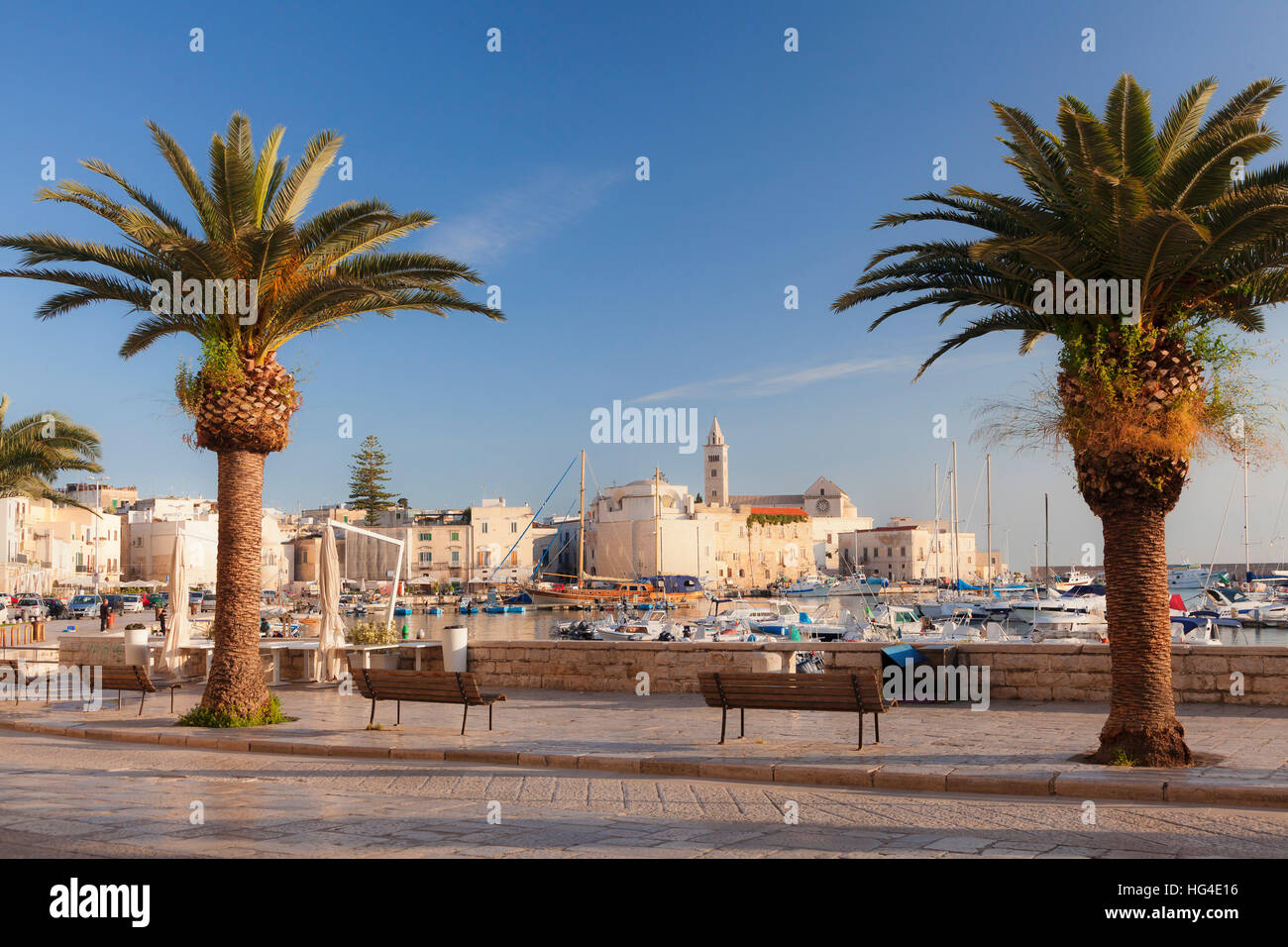 Blick über den Hafen zur Kathedrale San Nicola Pellegrino, Trani, Le Murge, Barletta-Andria-Trani-Viertel, Apulien, Italien Stockfoto