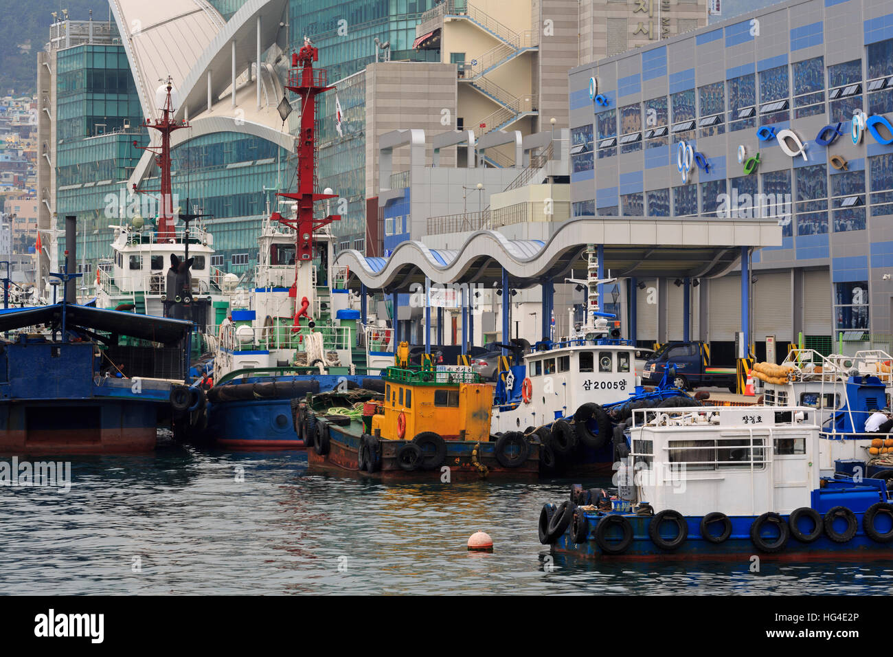 Jagalchi Fisch Markt, Nampo Bezirk, Busan, Südkorea, Asien Stockfoto