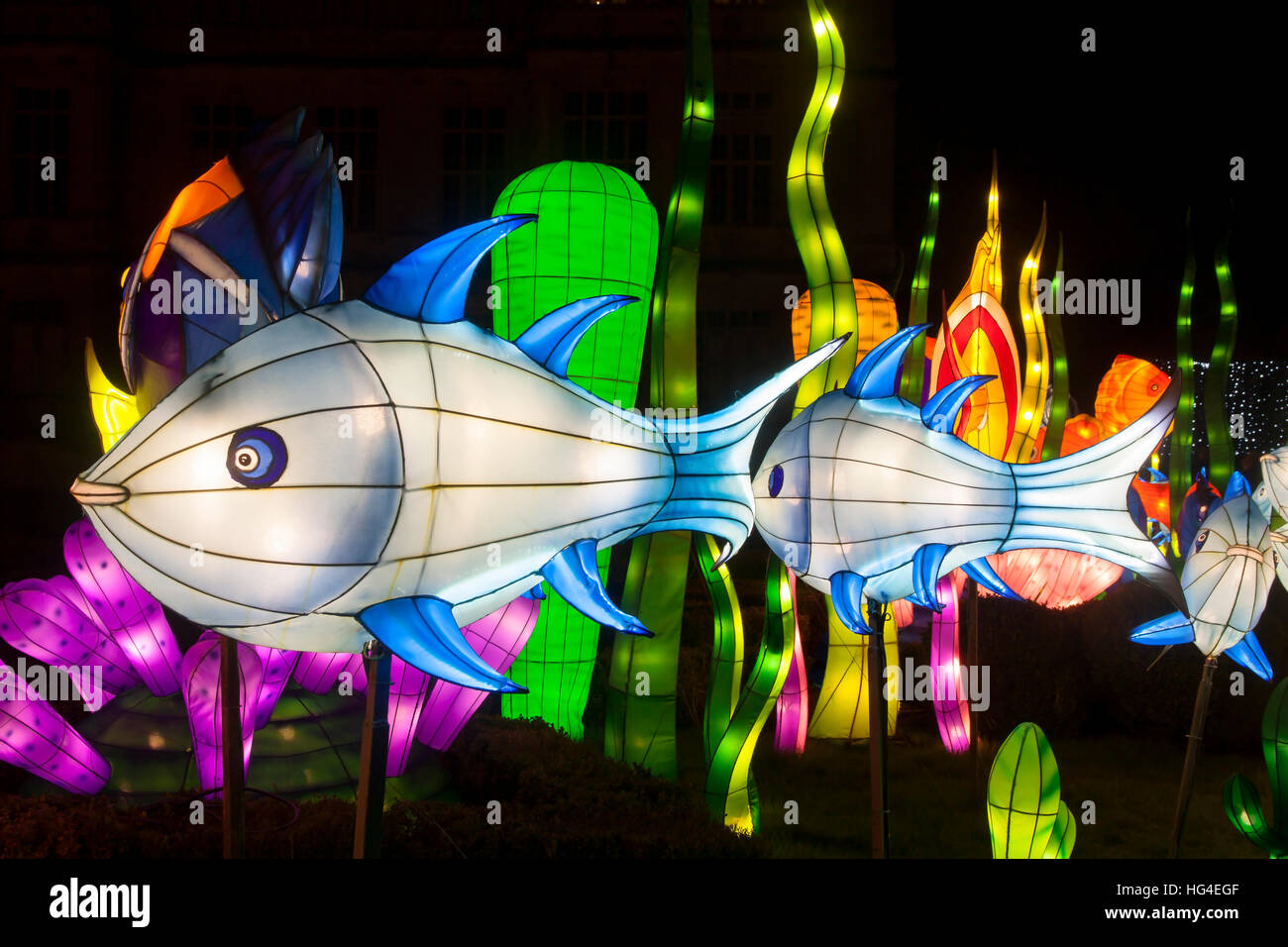In Longleat Fest des Lichts, Longleat Immobilien, Wiltshire, England. 16/01/2016 Longleat Festival des Lichts die Ozeane der Welt Stockfoto
