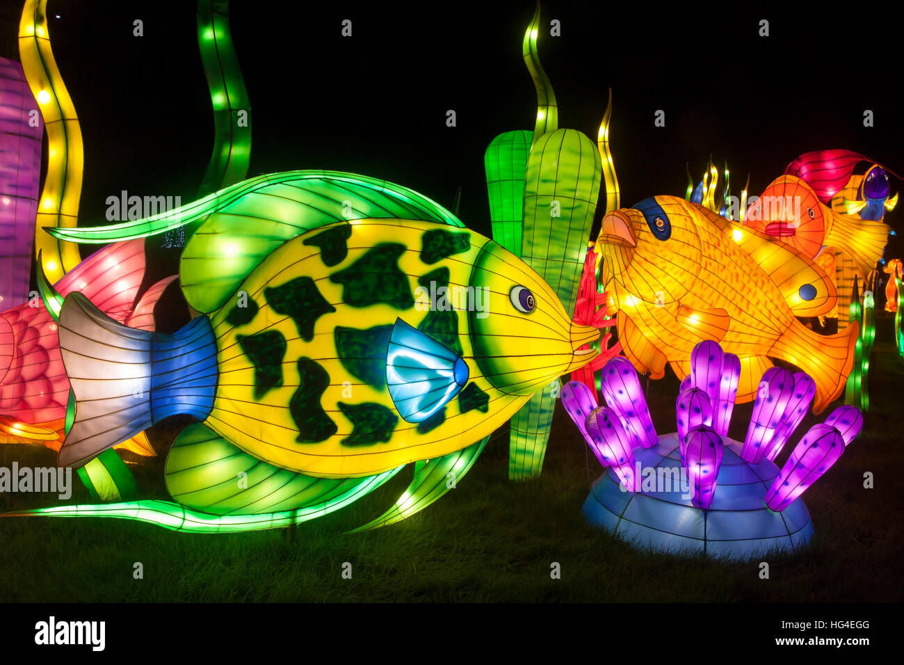 Longleat Festival des Lichts die Ozeane der Welt in Longleat Fest des Lichts, Longleat Immobilien, Wiltshire, England. 16/01/2016 Stockfoto