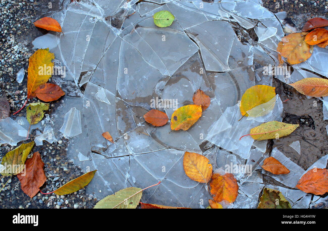 Gebrochenes Eis auf dem Boden im Wald Stockfoto