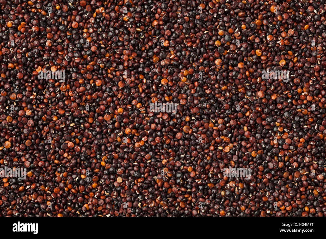 Rohe schwarze Quinoa-full-Frame hautnah Stockfoto