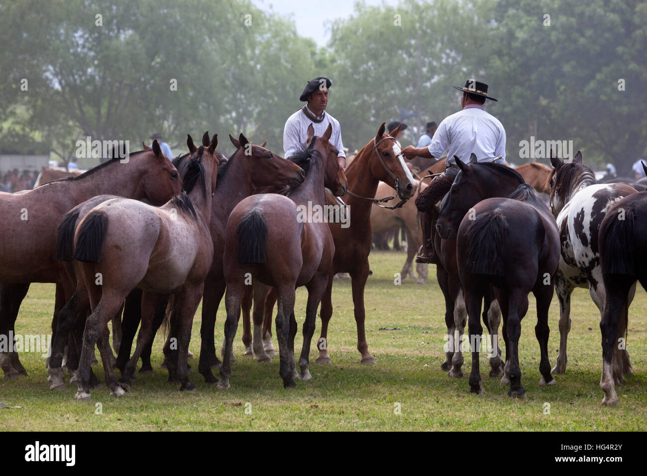 Gaucho-Festival auf den Tag der Tradition, San Antonio de Areco, La Pampa, Argentinien, Südamerika Stockfoto