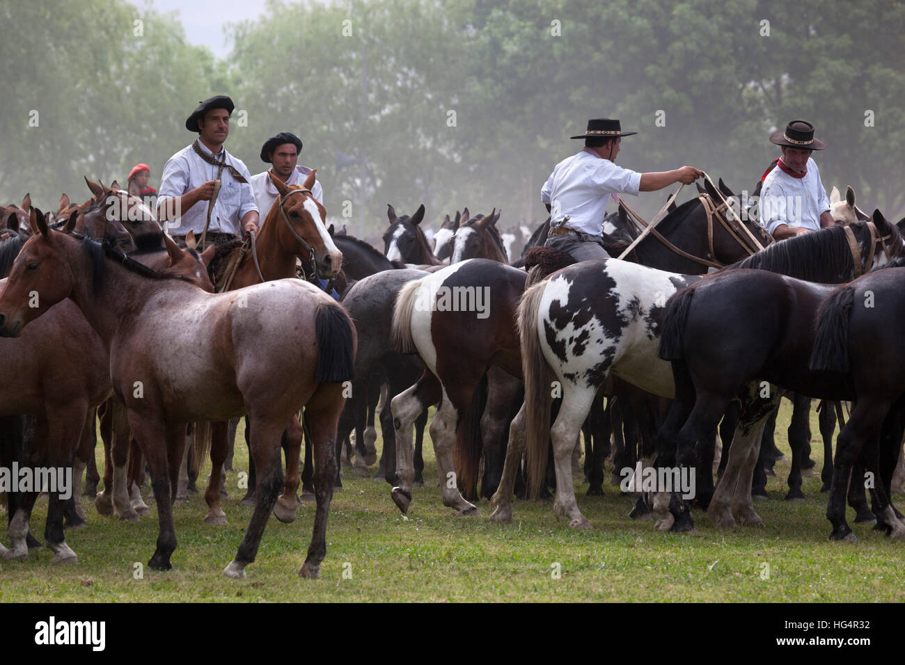Gaucho-Festival auf den Tag der Tradition, San Antonio de Areco, La Pampa, Argentinien, Südamerika Stockfoto