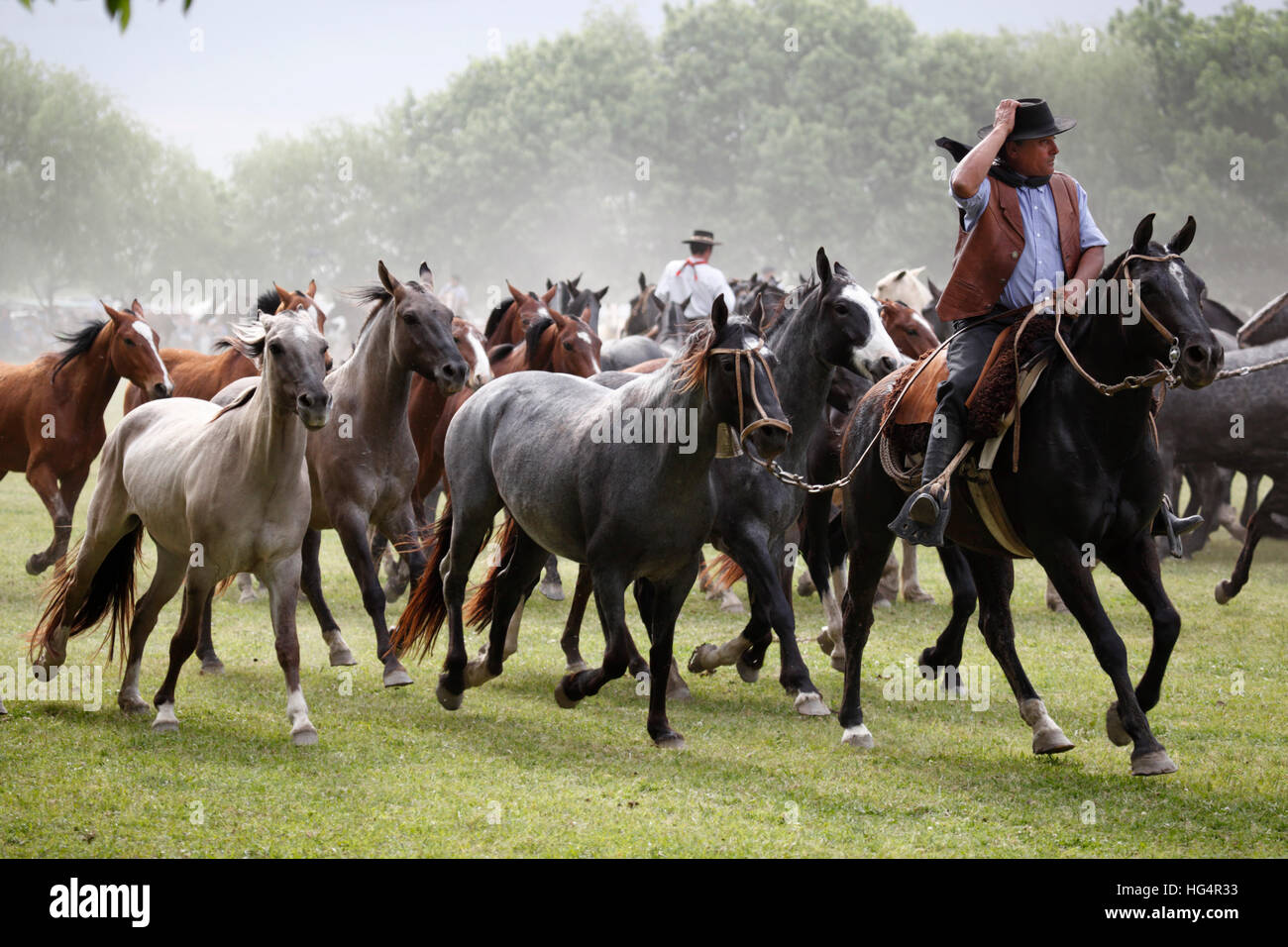 Gaucho-Festival auf den Tag der Tradition, San Antonio de Areco, La Pampa, Argentinien, Südamerika Stockfoto