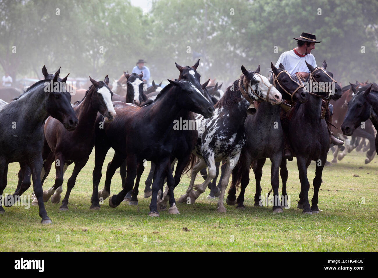 Gaucho-Festival auf den Tag der Tradition, San Antonio de Areco, La Pampa, Argentinien, Südamerika Stockfoto