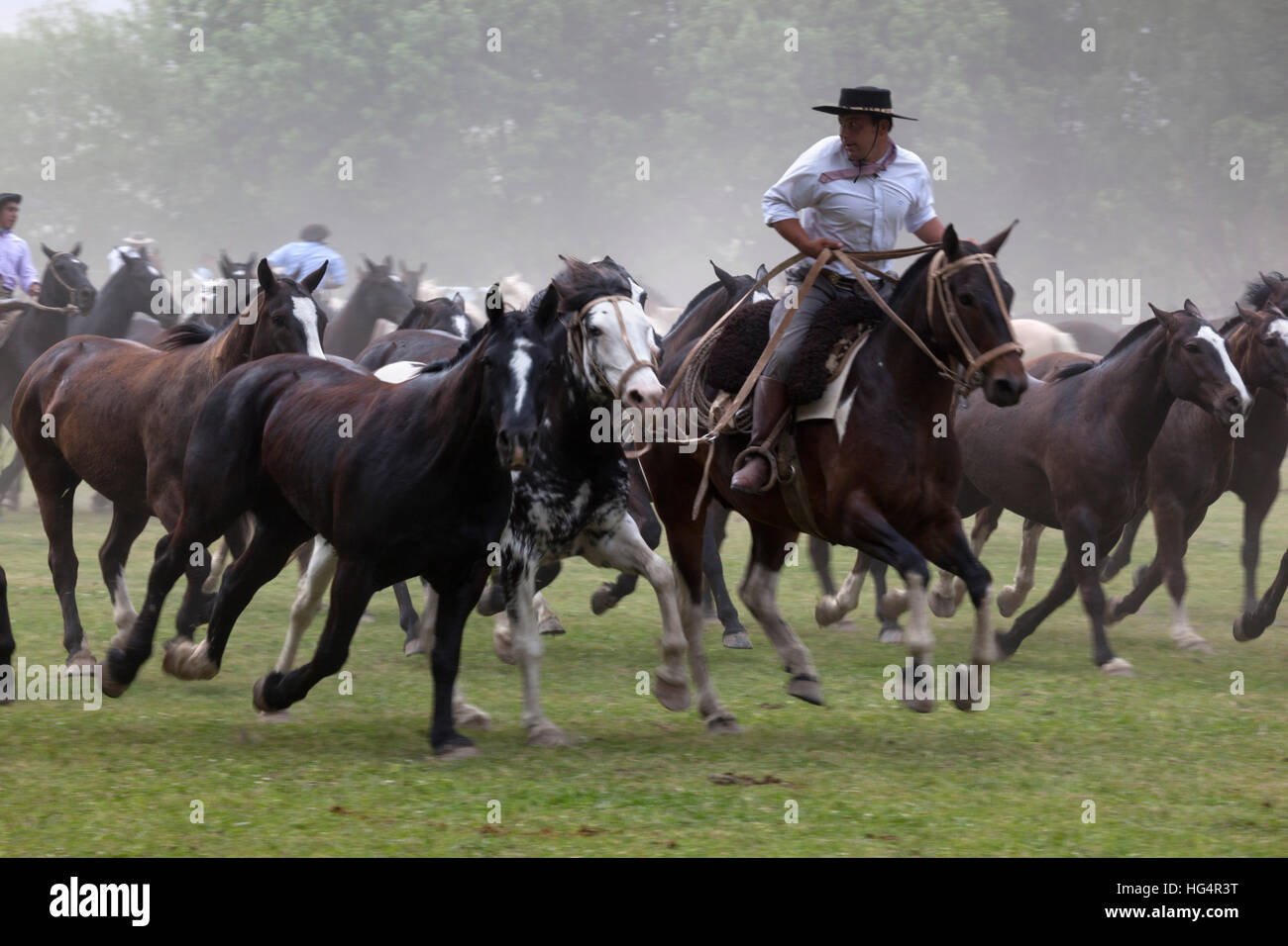 Gaucho-Festival auf den Tag der Tradition, San Antonio de Areco, La Pampa, Argentinien, Südamerika Stockfoto